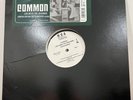 COMMON Like Water For Chocolate INSTRUMENTAL Vinyl Double LP  NM- *LISTEN*