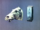 Wire - A Bell Is A Cup Until It Is Struck LP (VG+/VG) .*