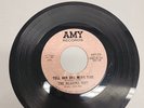 The Reasons Why. Tell Her one More Time / Try and See Me. vinyl 45