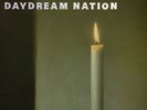 Sonic Youth Daydream Nation (Vinyl) 12