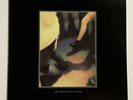 Hippo Campus ‎Bashful Creatures Vinyl Record LP  Limited