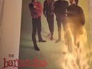 BARRACUDAS     /  1965 AGAIN      - Vinyl LP -