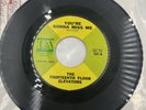 The Thirteenth Floor Elevators – You're Gonna Miss Me 7” Vinyl 45RPM 1967 Single