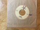 1963 The Squires - The Sultan b/w Aurora 7