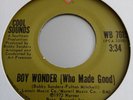 Cool Sounds    **  Boy Wonder   **   WARNER BROS  **   70's Soul  **   NR MINT