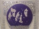 Blue Cheer – Vincebus Eruptum Original Vinyl Record Album PHS 600-264 1968