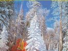 Chet Atkins Christmas With Chet Atkins - Vinyle Orange (Vinyl) (UK IMPORT)