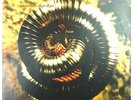 Nine Inch Nails - Closer To God (Island Records) Vinyl 12