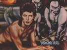 David Bowie - Diamond Dogs LP (VG+/VG+) VInyl - TOP '
