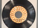 The Flamingos I Only Have Eyes For You / Love Walked In 45 Record Doo Wop