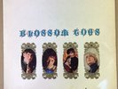 BLOSSOM TOES - WE ARE EVER SO CLEAN - ORG UK MONO MARMALADE LP CLIP - 607001