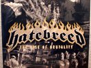 Hatebreed - The Rise Of Brutality - Vinyl, LP, 2003, Roadrunner Records