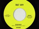 70s Soul Jazz/Funk 45 - Anubis - Ecology - Salt City - VG++ rare