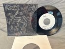 Insect Warfare at war with grindcore 7