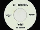 Funk 45 - Ann Robinson/Freedom Now Brothers - You Did It - All Brothers 2000 NM
