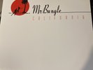 Mr Bungle 