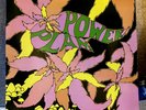 The Golden Dawn – Power Plant