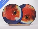 Vince Staples Big Fish Theory Limited Edition Double LP Vinyl Record - VG