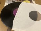 Run Devil Run by Paul McCartney (Record, 1999) vinyl lp Beatles