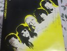EURYTHMICS autograph DAVE STEWART & ANNIE LENNOX signed Luminous Basement LP