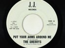 Northern Soul 45 - Sherrys - Put Your Arms Around Me/Happy Girl - J.J. - rare