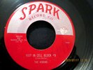 ROBINS Riot In Cell Block #9 / Wrap It Up Doo Wop R&B Rock 45 Orig. 1954