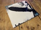 Led Zeppelin Debut Vinyl Turquoise Sleeve 1969