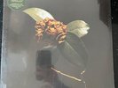 St. Paul & The Broken Bones – Young Sick Camellia  LP Vinyl NEW SEALED