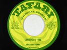 Roots Reggae 45 - Brigadier Jerry - Conscious Time - Tafari Cultural Sounds VG+
