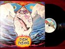 LP  STEVE HILLAGE FISH RISING 1975 VIRGIN ORIG UK PRESS W/ INSERT  VG++/NM PSYCH