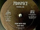 TERRY NOVA - Push With Size - 12in RARE DISCO FUNK;BREAKS;PROSPECT  KON &AMIR