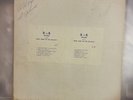 LP The Del Rays - Both Sides Of The Del-Rays 1965