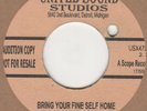 Soulettes Bring Your Fine Self Home Emi Disc Soul Northern Motown