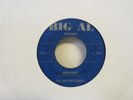 The Beachcombers Memories / What Good Is Dreaming Doo Wop 7