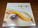 A Perfect Circle – Thirteenth Step - EX