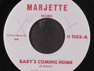 HOUND DOG TAYLOR: baby's coming home / five, take five MARJETTE 7