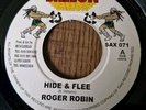 ROGER ROBIN - HIDE & FLEE / MIX 2 - 7