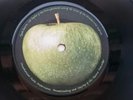 THE BEATLES  1969 HEY JUDE  REVOLUTION  45  APPLE  R5722    BLANK APPLE