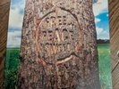 Dodgy Free Peace Sweet 12