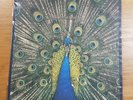 The Bluetones - Expecting to fly - 1996 Ltd Ed Gatefold 12