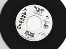 GOSPEL R&B  45  - the LANE RELATIONS - THE BLOOD- HEAR  1966 PROMO ARCTIC