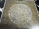 Emarosa Relativity 10th Anniversary