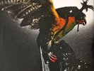 Budgie In For The Kill  NEAR MINT Noteworthy Productions Vinyl LP