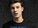 Handwritten [LP] by Shawn Mendes [VINYL]