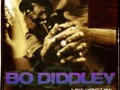 Bo Diddley - A Man Amongst Men (Vinyl LP - 2023 - EU - Reissue)