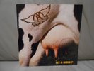 AEROSMITH - GET A GRIP - 1st PRESS - HOLLAND - COMPLETE - MINT