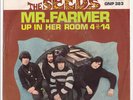 The SEEDS * Mr. Farmer * 1967 USA GARAGE PSYCH FREAKBEAT MOD 45 * Listen