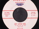 ROOSEVELT LEE: hey little girl / you are the answer HILLTOP 7