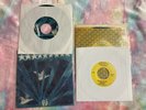 Pearl Jam 45 Fan Club single Crown of Thorns 1994 Spin The Black Circle