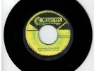 #153 REGGAE SKA VINYL DUBPLATE THE MIGHTY VIKINGS 